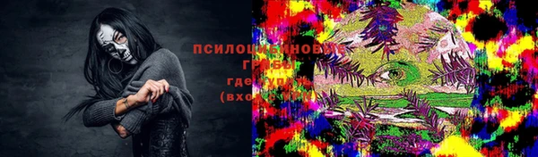 mix Осинники