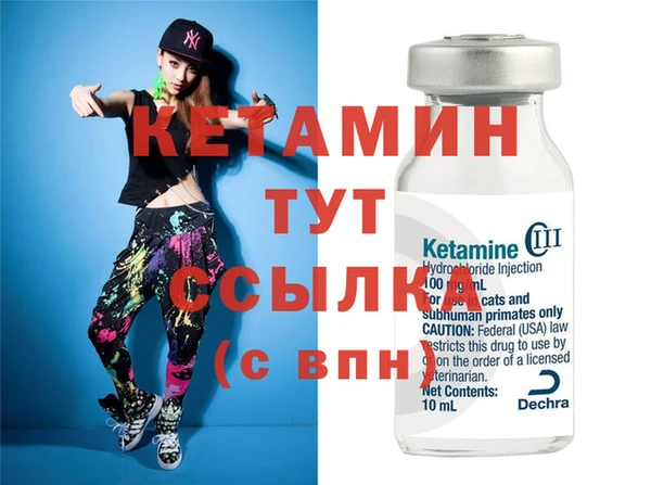 сатива Няндома