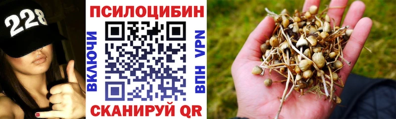 Галлюциногенные грибы Cubensis  даркнет как зайти  Осташков 